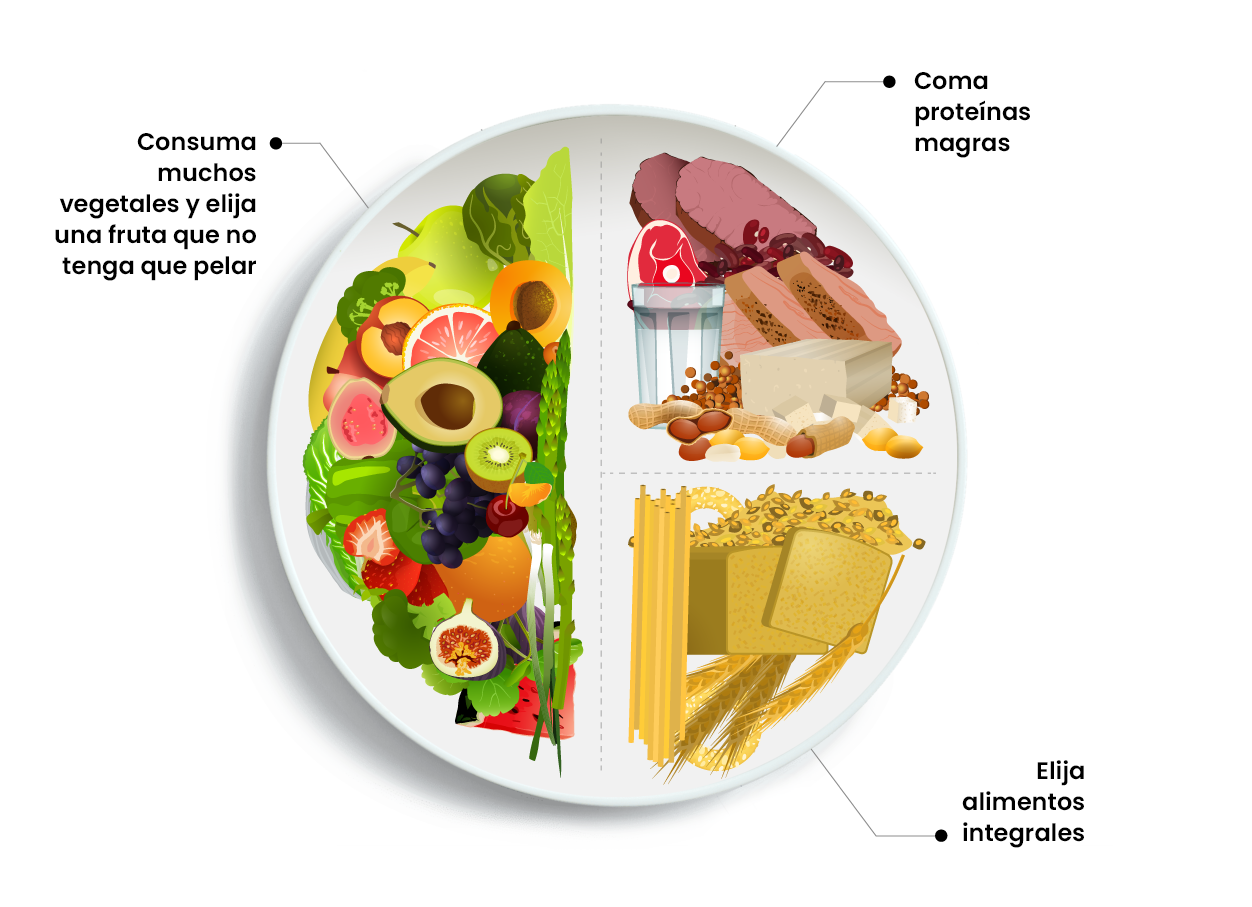 Diagrama de un plato saludable